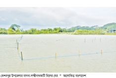 দুই হাজার বিঘার আমন আবাদ নিশ্চিতে অবৈধ মাছের ঘের উচ্ছেদ  