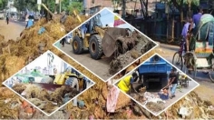 পশুর বর্জ্য যত্রতত্র ফেলা নিষেধ