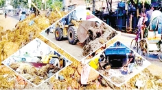 পশুর বর্জ্য যত্রতত্র ফেলা নিষেধ 