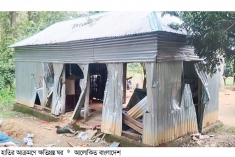 ঝিনাইগাতীতে কৃষকের গোলার ধান খেয়ে গেল বন্যহাতির দল  