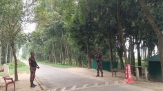 চামড়া পাচার ঠেকাতে যশোর সীমান্তে বিশেষ সতর্কতা