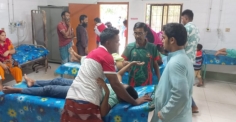 চাঁদপুরে কোরবানির পশু জবাই করতে গিয়ে ৩ শতাধিক মানুষ আহত