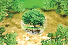 পরিবেশ রক্ষার গুরুত্ব  