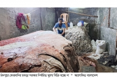 চাঁদপুরে কোরবানির চামড়ার সর্বোচ্চ মূল্য ৫০০ টাকা  