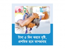 দেশের ৪৯ জেলায় তাপপ্রবাহ  