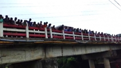 রাজবাড়ীতে নদী থেকে অটোচালকের মরদেহ উদ্ধার