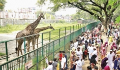 ঈদের রেশ কাটেনি এখনও  