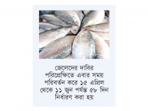 শেষ হলো ইলিশ শিকারের ৫৮ দিনের নিষেধাজ্ঞা  