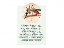 ডেঙ্গুতে একদিনে আক্রান্ত ২৮৮  