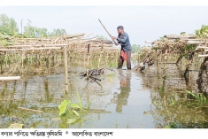 কুড়িগ্রামে অতিবৃষ্টি-বন্যায় ৩০০ হেক্টর জমির ফসলের ক্ষতি  