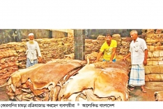 চামড়া নষ্ট হওয়া প্রসঙ্গে শিল্প মন্ত্রণালয়  