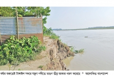 টাঙ্গাইলে যমুনায় বিলীনের মুখে ৫ শতাধিক বসতবাড়ি  