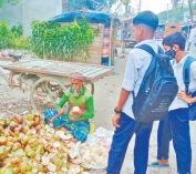 তাড়াইলে অসহনীয় গরমে বেড়েছে তালশাঁস বিক্রি  