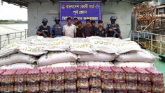 মিয়ানমারে পাচারকালে ইউরিয়া সার ও এনার্জি ড্রিংক্সসহ আটক ৬