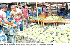 রাজশাহীতে আমের বাজারে ধস  