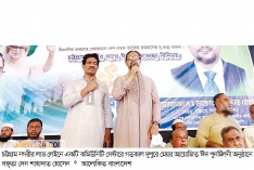 আ.লীগ নেতাকর্মীর সঙ্গে ছবি থাকলে বিএনপির পদ বাদ দিতে হবে  