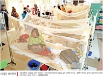 একদিনে ২৪৯ জনের ডেঙ্গু শনাক্ত, একজনের মৃত্যু  