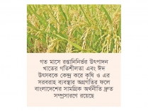 মে মাসে কৃষি, উৎপাদন ও সেবা খাত ভালো করেছে  