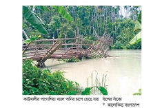 বাঁশের সাঁকো ভেঙে জনদুর্ভোগ  