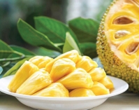 ক্যান্সারের ঝুঁকি কমায় কাঁঠাল  