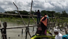 কাউখালী সয়না-হুলারহাট খেয়াঘাট যেন মরণ ফাঁদ, জীবনের ঝুঁকি নিয়ে পারাপার