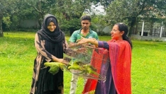 সীমান্তে পাচারকালে ৬ টিয়া পাখি উদ্ধার, আটক ৩