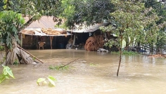 তালায় বৃষ্টি ও উজানের পানিতে ১০ হাজার মানুষ পানিবন্দি