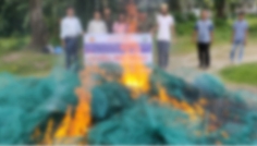 ভান্ডারিয়ায় আড়াই লক্ষ টাকার অবৈধ চায়না দুয়ারী জাল ধ্বংস