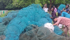 রাজবাড়ীতে ৭ লাখ টাকার চায়না দুয়ারি জাল জব্দ, জেলেকে জরিমানা