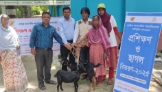 লালমনিরহাটে অসহায় নারীদের মাঝে বিনামূল্যে ছাগল বিতরণ