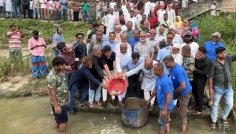 নওগাঁয় বিএনপির প্রতিষ্ঠাবার্ষিকীতে মাছের পোনা অবমুক্ত
