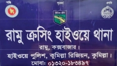 কুকুর বাঁচাতে গিয়ে ট্রাক উল্টে চাপা পড়ে পথচারীর মৃত্যু