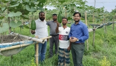 নবীনগরে ভাসমান ডালি পদ্ধতিতে সবজি আবাদে সাফল্য
