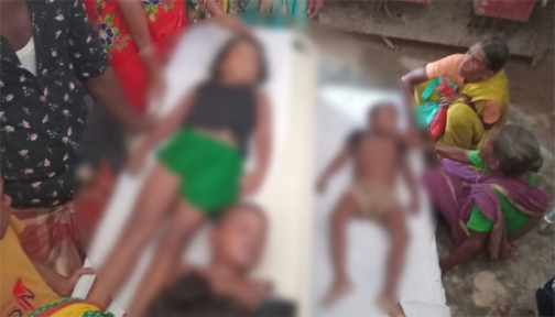 নবীগঞ্জে পুকুরের পানিতে ডুবে তিন শিশুর মৃত্যু