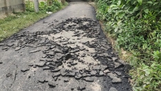 হিলিতে সড়কে নিম্নমানের কাজ, উঠে যাচ্ছে কার্পেটিং