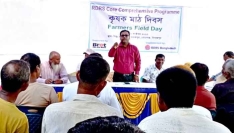 দিনাজপুরে কৃষক মাঠ দিবস পালিত