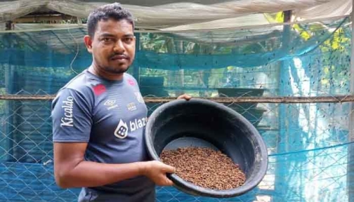 পাবনায় পোকা চাষ করে মাসে আয় ২ লাখ টাকা