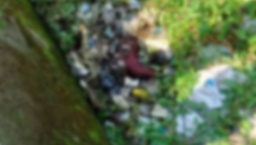 পুঠিয়ায় মুসাখাঁ নদী থেকে অর্ধগলিত মরদেহ উদ্ধার