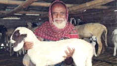 দামুড়হুদায় ভেড়া পালনে স্বাবলম্বী প্রবীণ আব্দুর রহমান