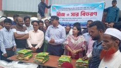 উল্লাপাড়ায় কৃষকের মাঝে সরিষার বীজ ও সার বিতরণ