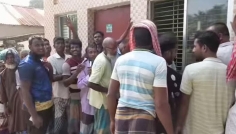 আলমডাঙ্গায় তামাক চাষীদের উৎপাতে দিশেহারা কৃষি বিভাগ ও ডিলাররা