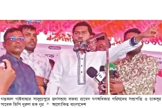 তফসিলের আগে গণভোট করার কোনো বাস্তবতা নেই : ভিপি নুর  