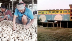 রংপুর কৃষি অঞ্চলের হিমাগারে আলু, বিপাকে কৃষক ও মালিক