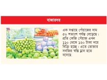 অস্বস্তি বাড়াচ্ছে পেঁয়াজ সবজিতে কিছুটা স্বস্তি  