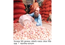 আমদানির সংবাদে দিনাজপুরে পেঁয়াজের দাম কমেছে  