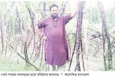 নওগাঁয় আখ চাষে লাভবান কৃষক  