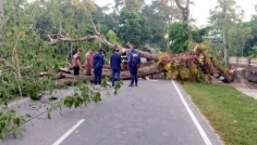 মৌলভীবাজারের সড়কে গাছ ফেলে অবরোধ