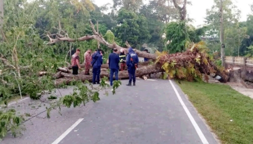 মৌলভীবাজারের সড়কে গাছ ফেলে অবরোধ