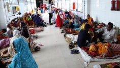 মাগুরায় ডেঙ্গু আক্রান্ত ৪৪৯ জন
