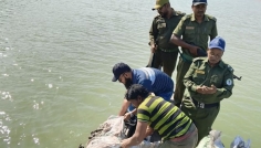 শ্যামনগরে ৮৬০ কেজি শামুক জব্দ, সুন্দরবনের চুনায় অবমুক্ত